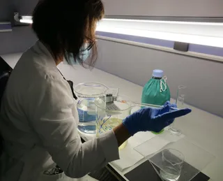 Una empleada sostiene una probeta en el Instituto Nacional de Toxicología y Ciencias. FOTO EP