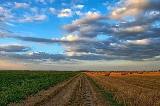 El envenenamiento sigue siendo una amenaza de primera magnitud para la biodiversidad