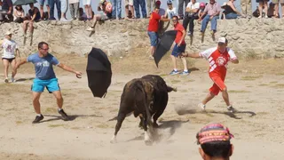 Fiestas Corpus Ledesma 2017: Espantos y Capea