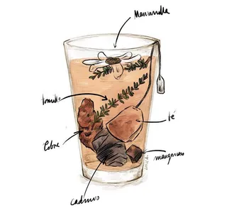Las plantas utilizadas en infusiones contienen metales pesados pero no suponen un riesgo