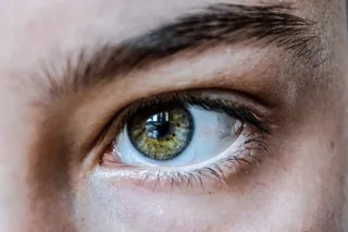 Ojo. Pupila, retina. - CSIC | EUROPA PRESS