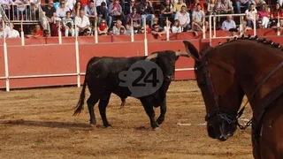 Las Fiestas se ponen aún más taurinas