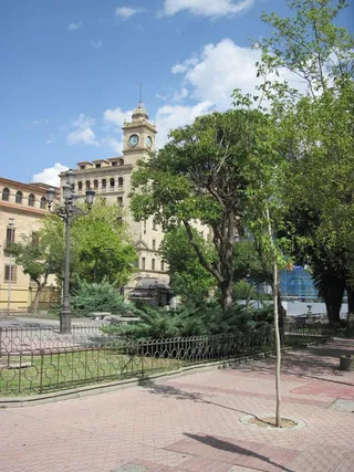 Alcorques en la plaza de los Bandos (15)