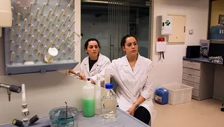 NORMAL Investigadoras