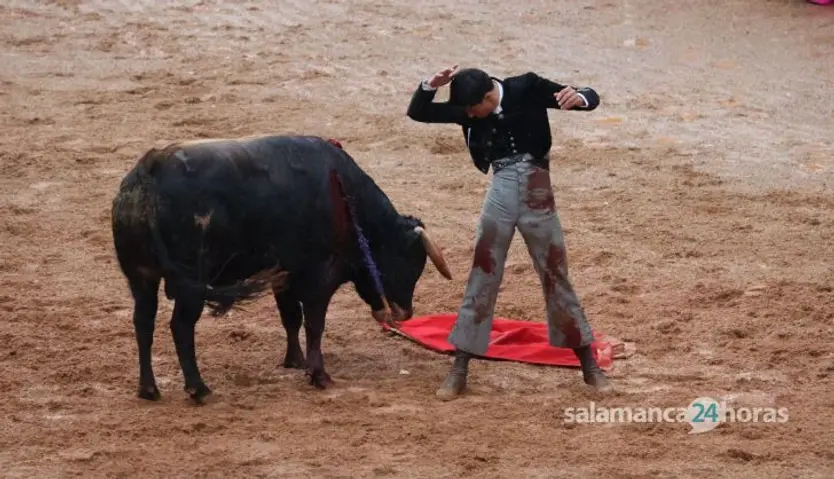 Festival taurino con picadores con toros de Talavante para Miguel Ángel Perera, Daniel Luque, Manuel Disoleguarde en Ciudad Rodrigo