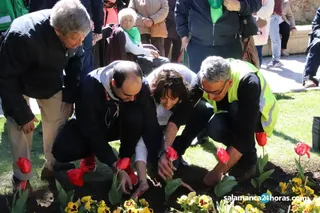 Plantación de tulipanes por el día mundial del parkinson (63)