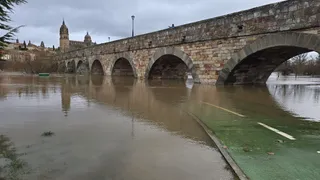 Puente romano y catedral de Salamanca | Andrea M
