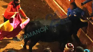 Primer corneado de la capea del viernes en Ciudad Rodrigo. | SALAMANCA24HORAS