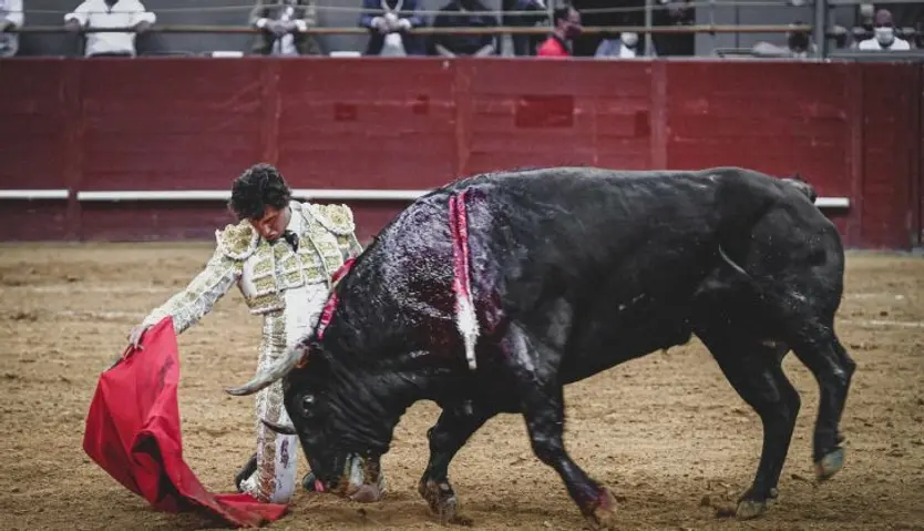 Diestro peruano Andrés Roca Rey 
