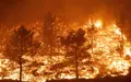 Vicente : Ical. El Incendio De Las Hurdes Avanza Durante La Noche En Las Inmediaciones De Cerezal (cáceres)7