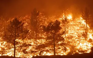 Vicente : Ical. El Incendio De Las Hurdes Avanza Durante La Noche En Las Inmediaciones De Cerezal (cáceres)7