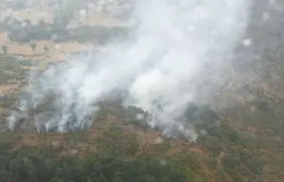 Imagen Del Incendio Declarado Este Sábado 15 De Agosto De 2026 En La Hoya. Inforcyl
