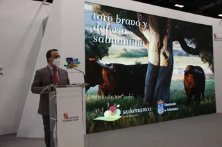 Diputación de Salamanca en FITUR