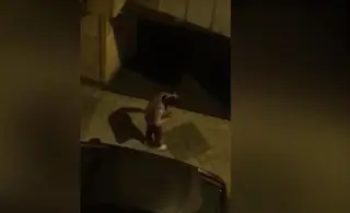 Imagen del joven agredido