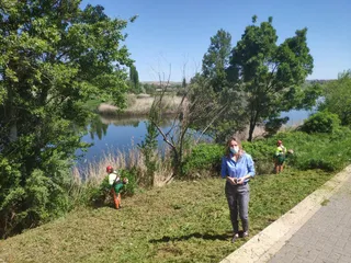 Limpieza de la ribera del Tormes a su paso por Santa Marta