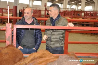 David Castaño y Jesus Luis de San Antonio en la Lonja (10)