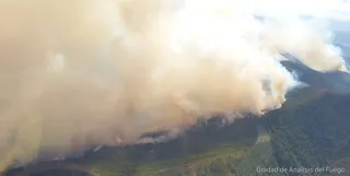 Fuego Estepona