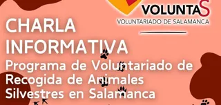 Curso de voluntariado en recogida de animales silvestres