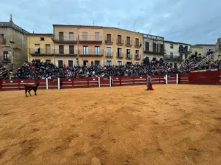 Aficionados prácticos taurinos de Ciudad Rodrigo debutan en el Carnaval del Toro 2025