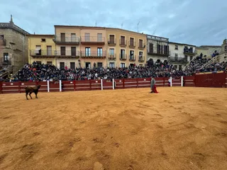 Aficionados prácticos taurinos de Ciudad Rodrigo debutan en el Carnaval del Toro 2025