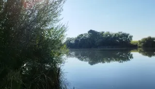 Río Tormes a su paso por Cabrerizos. Foto de archivo