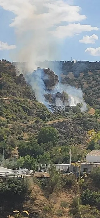 La mitad de las denuncias son por incendios y contra la Ley de Montes