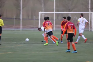 JOTA1031