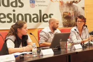 La raza Bazadaise, una nueva alternativa para la ganadería extensiva
