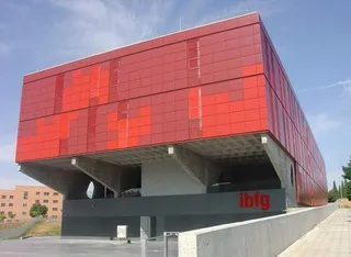 La Junta aprueba la creación del Instituto Universitario de Investigación de Biología Funcional y Genómica