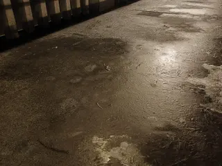 Placas de hielo en el Puente de la Universidad, jueves, 21 de diciembre