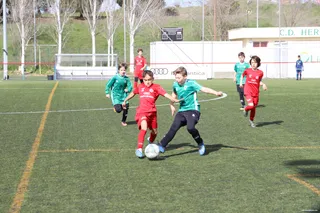 Futbol Base Alevin (4)
