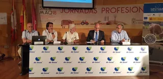 Vacas Nodrizas 1024x497