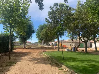 Matilla obras jardines