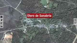 "Las cabras en alta velocidad"