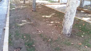 Jardines descuidados