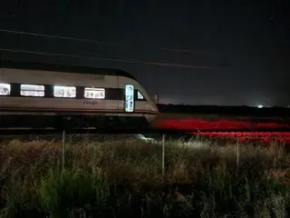 Fallecen dos personas arrolladas por un tren a la altura de Moriscos