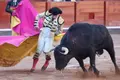 Ismael Martín con el segundo toro de García Jiménez en Salamanca | Asier Galache