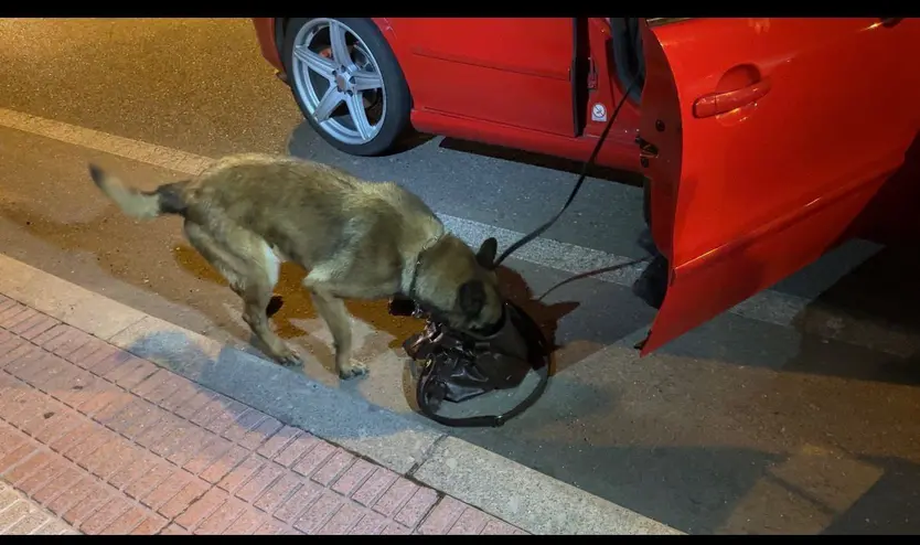 Por tierra y aire: así se desplegó el operativo de la Policía Nacional en el Fin de Año Universitario