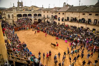 Carnaval del Toro de Ciudad Rodrigo | José Vivente/ICAL