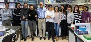 Laboratorio 11 N