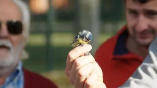 Niños y mayores disfrutan del control de aves