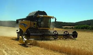 La superficie sembrada de trigo y cebada no despega en Castilla y León
