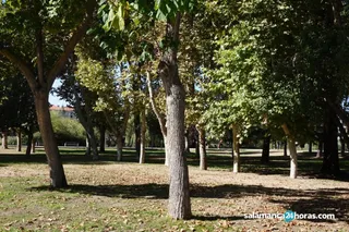 Renovación Parque Fluvial (13) 1200x799