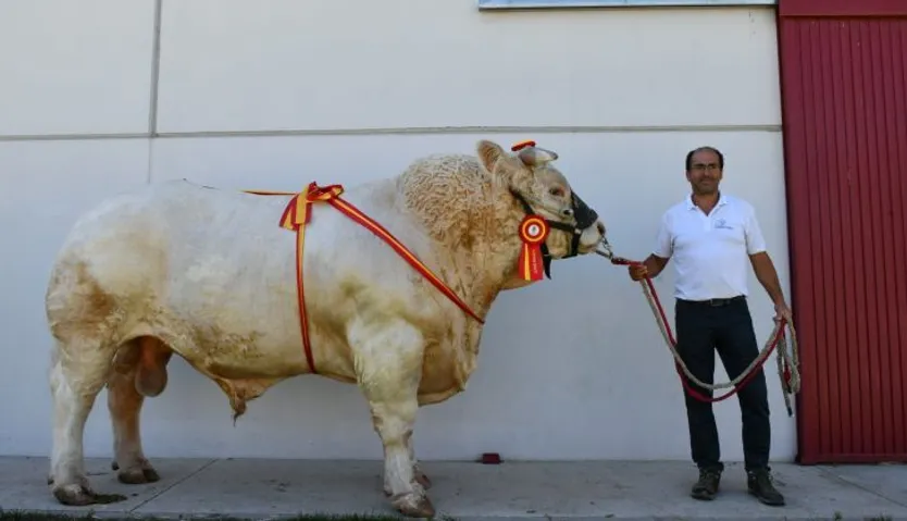 “Jacson” de Alberto Martín Gallego. Salamanca (que repite galardón respecto al año 2021)