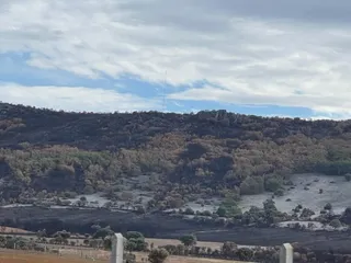 Restos del incendio Maíllo Serradilla del Arroyo. Foto S24H (5)