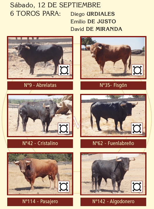 Toros De Domingo Hern&aacute;ndez Rese&ntilde;ados Para La Corrida De Salamanca Del 12 De Septiembre De 2026 | La Mariseca-Juanes