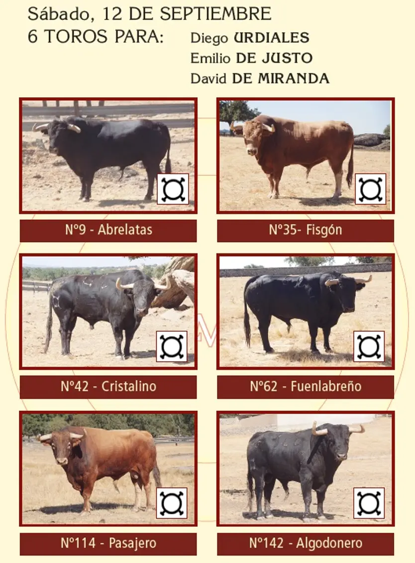 Toros De Domingo Hernández Reseñados Para La Corrida De Salamanca Del 12 De Septiembre De 2026 | La Mariseca-Juanes