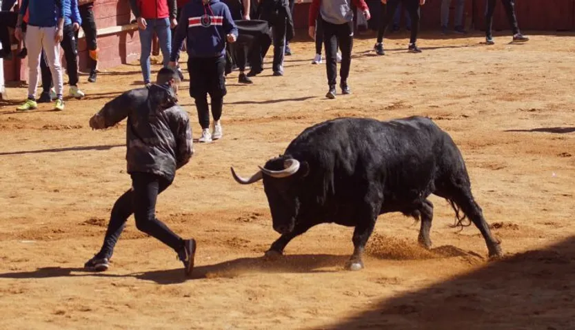 Encierro, capea y ambiente en Ciudad Rodrigo en este lunes de carnaval (63)