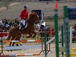 El Centro Ecuestre de Salamanca, líder en la Liga Interclub de saltos de obstáculos