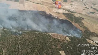 Baja a nivel 1 el incendio de Cabizuela, en Ávila. Foto JuntaCyL